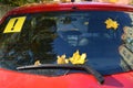 Yellow maple leaves and sticker with the exclamation mark on rear screen of the car