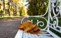Yellow maple leaves on a white bench in an autumn park. Royalty Free Stock Photo