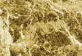 Yellow Marble Texture Royalty Free Stock Photo