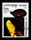Yellow-margined Box Turtle Cuora flavomarginata, International Stamp Exhibition BANGKOK 2000: Turtles serie, circa 2000