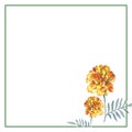 Yellow marigold chrysanthemum petunia calendula rose flower frame in watercolor drawing. Royalty Free Stock Photo