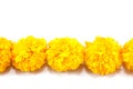 Yellow marigold flower.