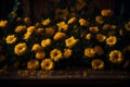 Yellow marigold flowers in vase on wooden table