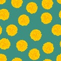 Yellow Marigold On Green Background. Vector Illustration