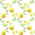 Yellow Marigold Seamless. Watercolor Illustration. Flower pattern.