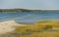 Marsh and marsh grass next to Atlantic Ocean sea