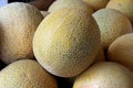 Yellow melon Royalty Free Stock Photo