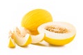 Yellow melon fruit Royalty Free Stock Photo