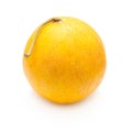 Yellow melon fruit Royalty Free Stock Photo