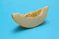 Yellow melon fruit Royalty Free Stock Photo