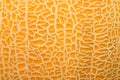 Yellow melon fruit surface Royalty Free Stock Photo