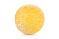 Yellow melon isolated. Royalty Free Stock Photo