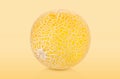 Yellow melon isolated. Royalty Free Stock Photo