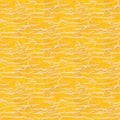 Yellow Muskmelon Pattern. Tileable Seamless Texture Royalty Free Stock Photo