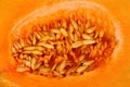 Yellow melon seeds inside Royalty Free Stock Photo