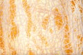 Yellow melon skin texture Royalty Free Stock Photo