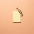 Yellow memo paper, sticky notes with eucalyptus leaves on pink beige background Royalty Free Stock Photo