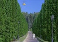 Yellow metal cable car, Technical retro funicular above green forest in park. Kislovodsk,Russia, 04.08.2020