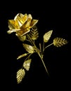 Yellow Metal Rose Royalty Free Stock Photo