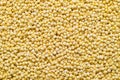 Yellow millet grain texture background, Food ingredient Royalty Free Stock Photo