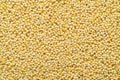 Yellow millet grain texture background Royalty Free Stock Photo
