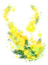 Yellow mimosa flower symbol 8 march womens day acacia