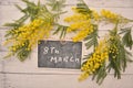 Yellow mimosa flower for woman day festivity 8th march Royalty Free Stock Photo