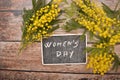 Yellow mimosa flower for woman day festivity 8th march Royalty Free Stock Photo