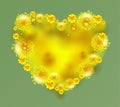 Yellow mimosa flowers heart shape on green background