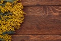 Yellow mimosa flowers on a wooden background