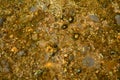Minerals in trasparent water, stones, water, abstract background Royalty Free Stock Photo