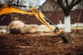 Yellow mini excavator working with earth, moving soil and doing landscaping works Royalty Free Stock Photo