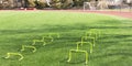 Yellow mini hurdles on turf field for speed and agility practice Royalty Free Stock Photo