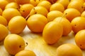 Yellow mirabelle plum fruits