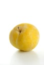 Yellow Mirabelles on white background Royalty Free Stock Photo