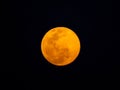 Yellow Moon Big Super Moon, Recent Photograph.