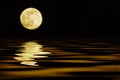 Yellow moon over sea