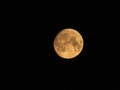 Yellow moon. View from ural& x27;s mountain Royalty Free Stock Photo
