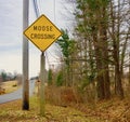 Moose Crossing sign in Maine on a grey winter day