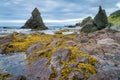 Yellow moss covered rocks along ocean shoreline - Gros Morne, Newfoundland, Canada