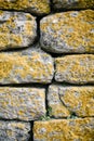 Yellow moss stone. Background and surface. Royalty Free Stock Photo