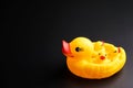 Yellow Mother and baby ducks rubber duck on black backg Royalty Free Stock Photo