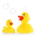 Yellow mother and child rubber ducks