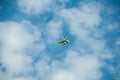 A yellow motorized hang glider with a propeller soars in the blue sky Royalty Free Stock Photo