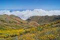 Yellow mountain landscape above clouds filled with vegetation Royalty Free Stock Photo