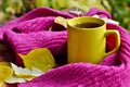 A ÃÂup of tea in the autumn morning with a warm scarf on the table with fallen leaves