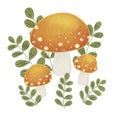 Yellow mushroom with ivy fern watercolor illustration for decoration on foliage and colorful nature concept