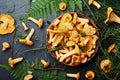 Yellow mushrooms chanterelle cantharellus cibarius in bowl decorated fern and forest plants on black kitchen table top view. Royalty Free Stock Photo