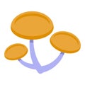 Yellow mushrooms icon isometric vector. Seasonal forest fungus