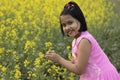 Yellow mustard flower Royalty Free Stock Photo